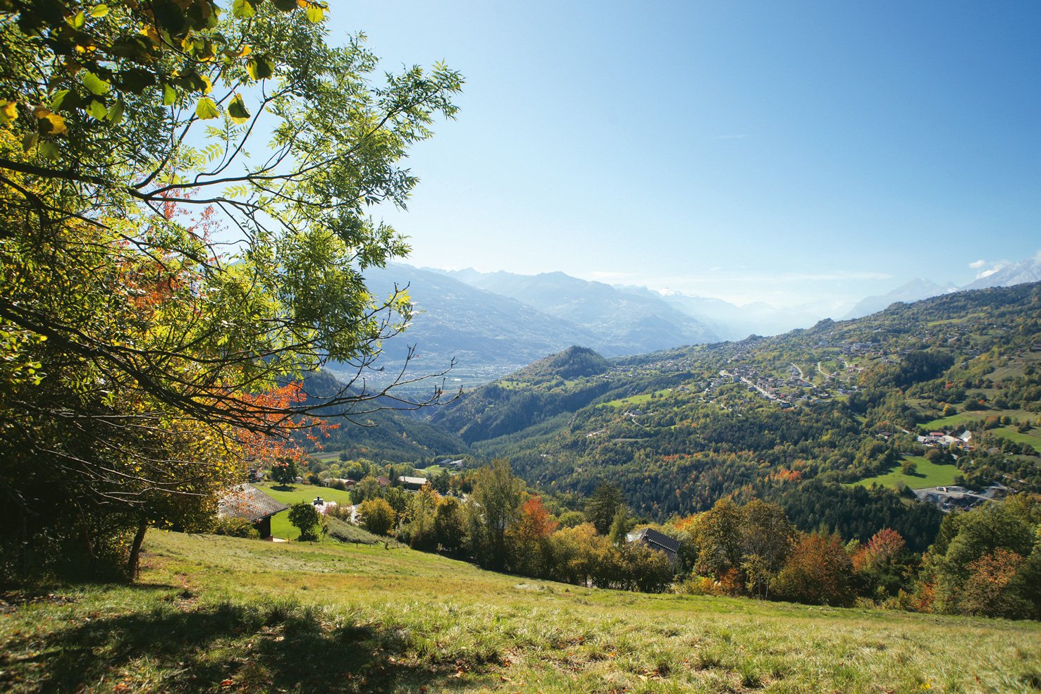 Bisse repetita